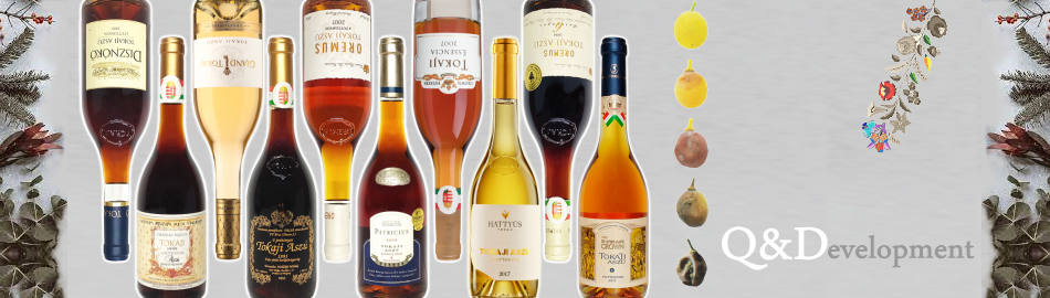 株式会社Q&Development